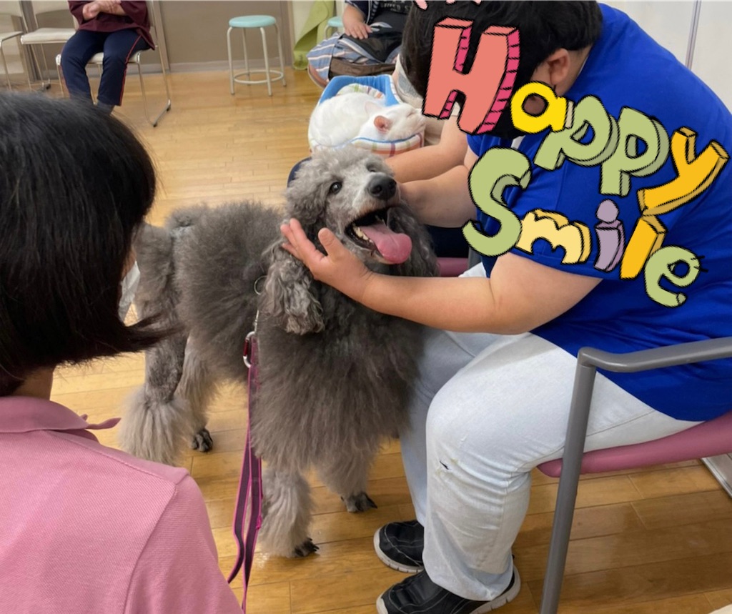 f:id:sakaivet2019:20221013164618j:image f:id:sakaivet2019:20221013164618j:image