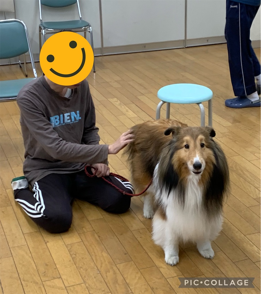 f:id:sakaivet2019:20221013181812j:image f:id:sakaivet2019:20221013181812j:image