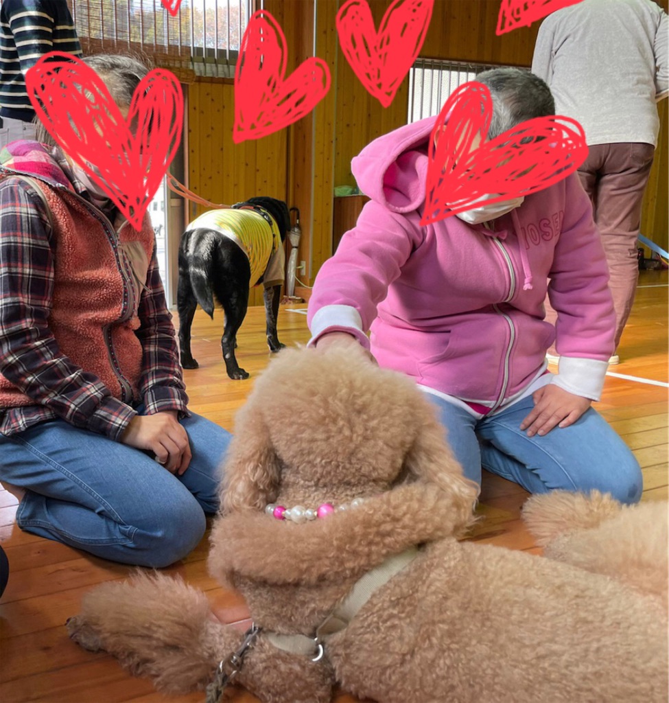 f:id:sakaivet2019:20230209225726j:image f:id:sakaivet2019:20230209225726j:image