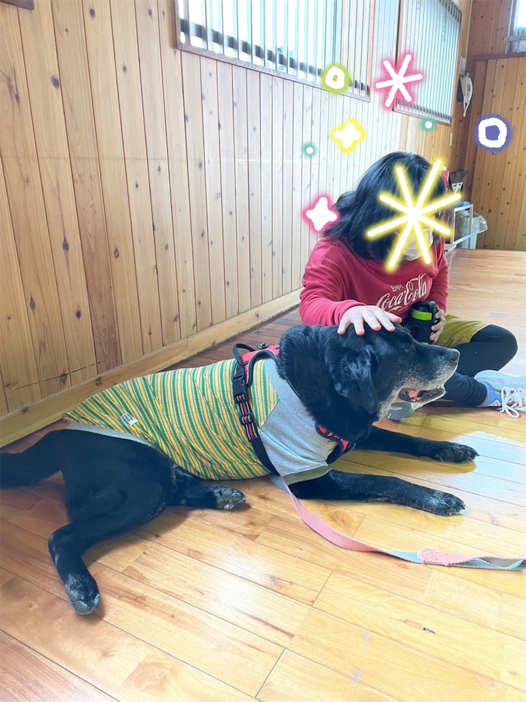 f:id:sakaivet2019:20230209225734j:image f:id:sakaivet2019:20230209225734j:image