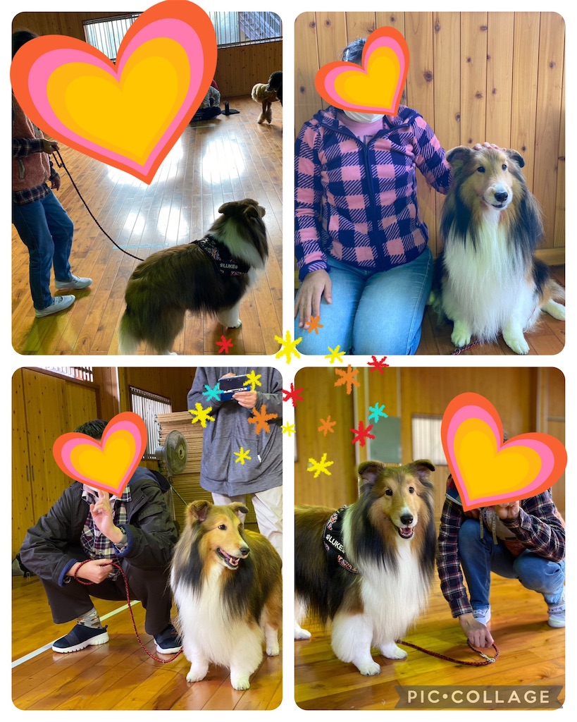 f:id:sakaivet2019:20230209225737j:image f:id:sakaivet2019:20230209225737j:image