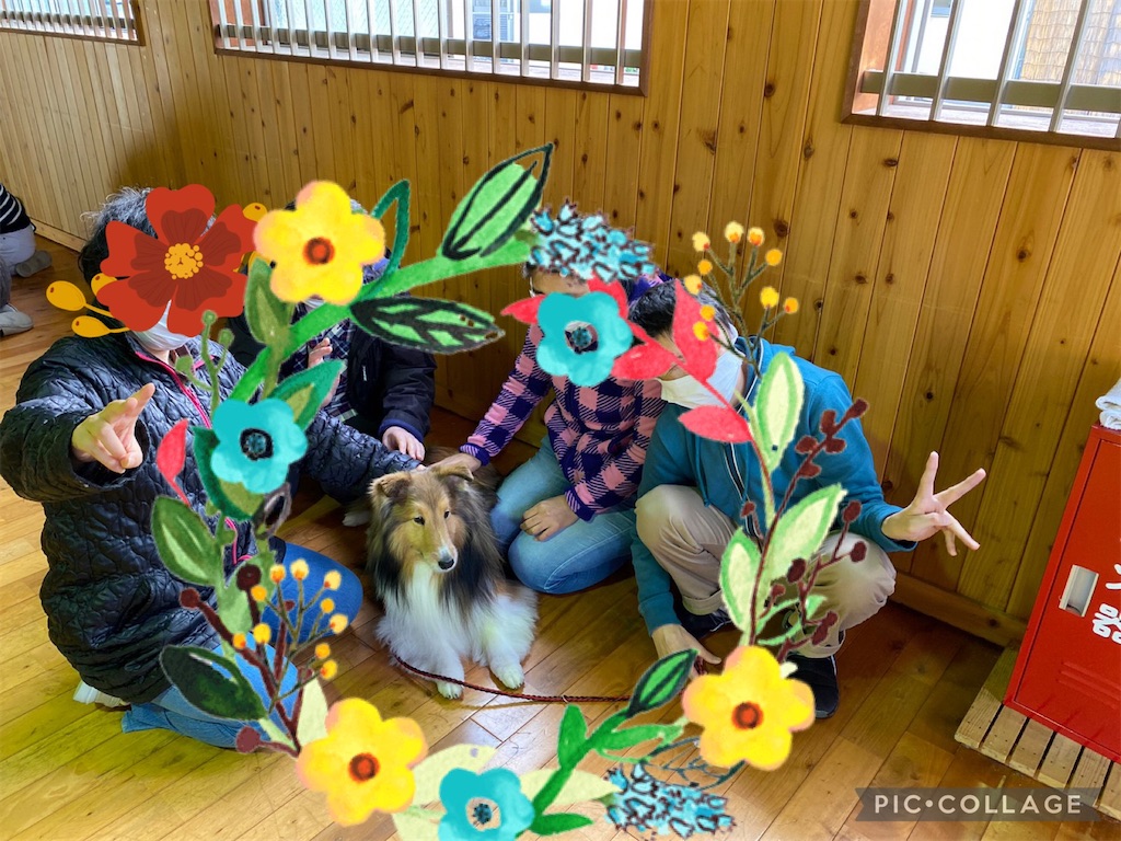 f:id:sakaivet2019:20230209225741j:image f:id:sakaivet2019:20230209225741j:image