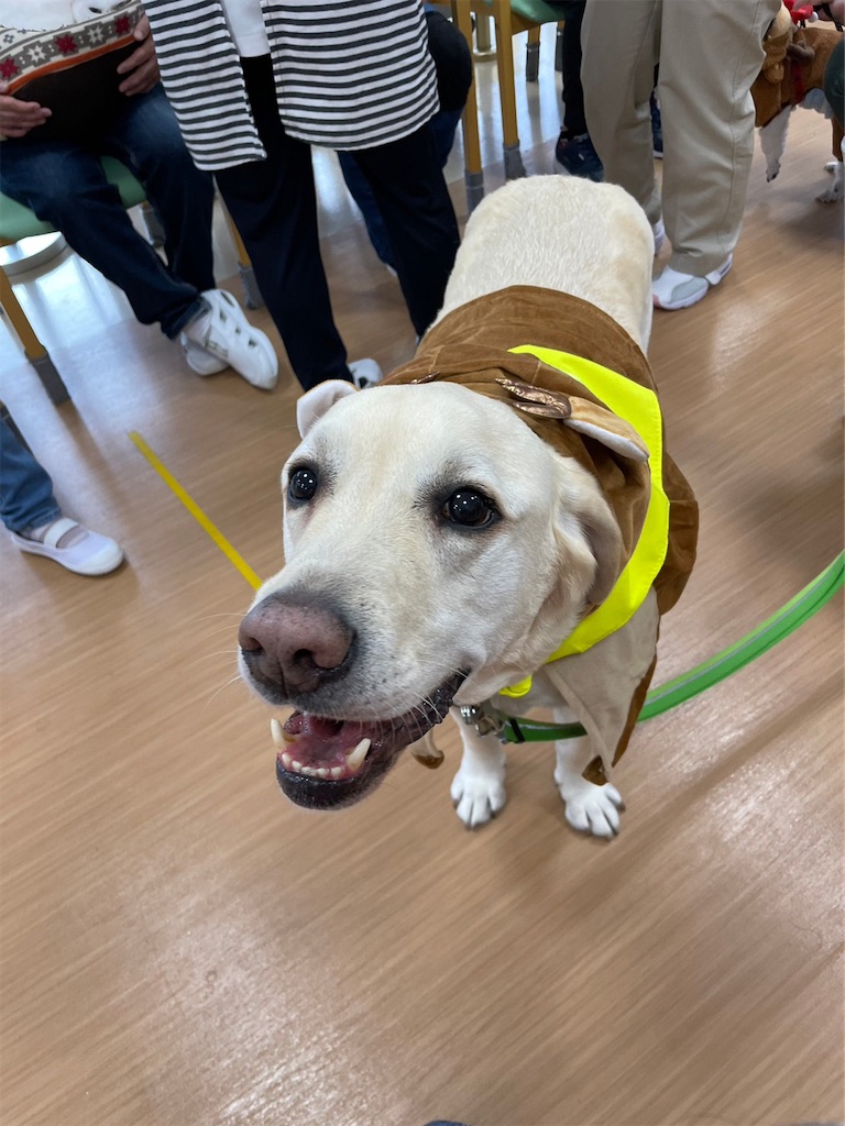 f:id:sakaivet2019:20230210163123j:image f:id:sakaivet2019:20230210163123j:image