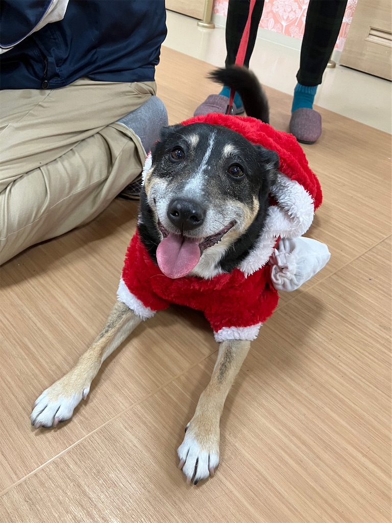 f:id:sakaivet2019:20230210163127j:image f:id:sakaivet2019:20230210163127j:image