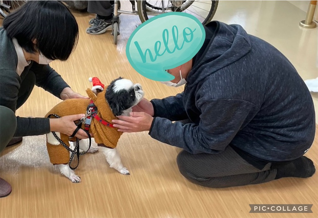 f:id:sakaivet2019:20230210163130j:image f:id:sakaivet2019:20230210163130j:image