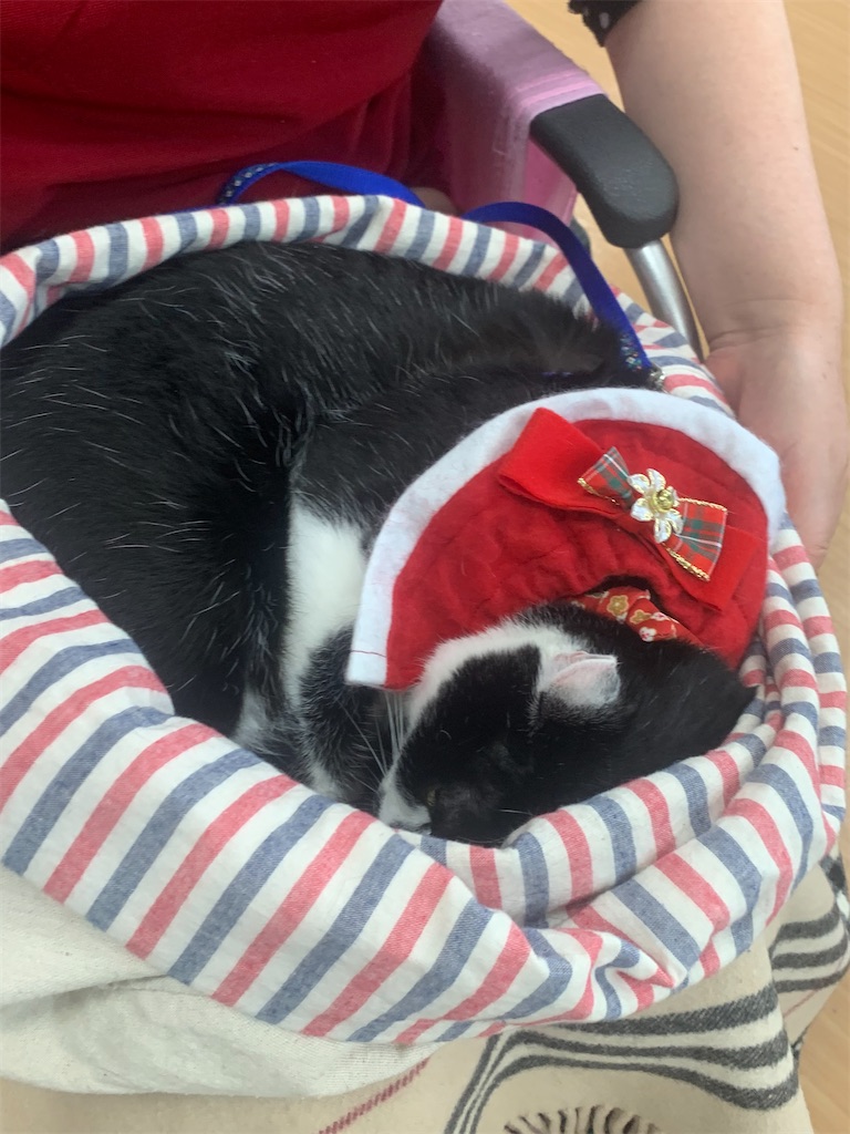 f:id:sakaivet2019:20230210163455j:image f:id:sakaivet2019:20230210163455j:image