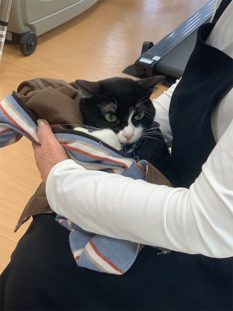 f:id:sakaivet2019:20230210163625j:image f:id:sakaivet2019:20230210163625j:image