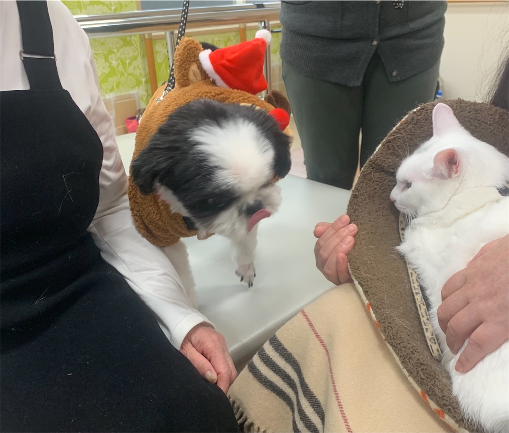 f:id:sakaivet2019:20230210163730j:image f:id:sakaivet2019:20230210163730j:image