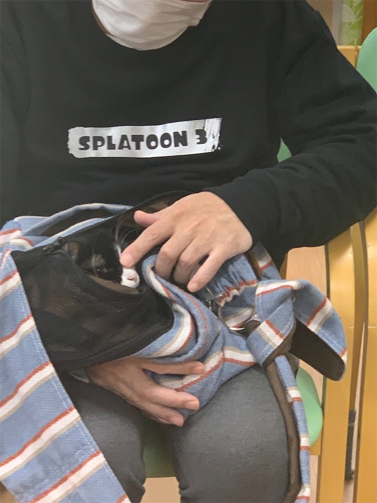 f:id:sakaivet2019:20230210180401j:image