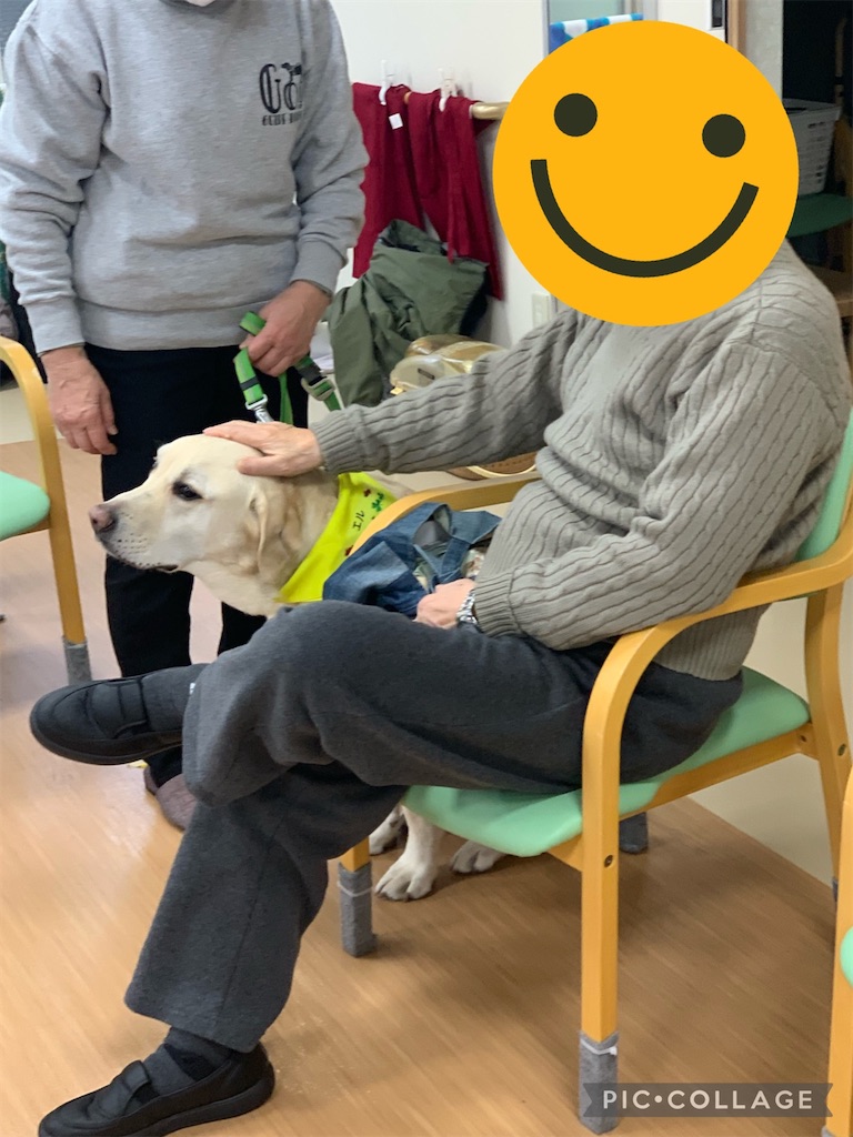 f:id:sakaivet2019:20230210180409j:image f:id:sakaivet2019:20230210180409j:image