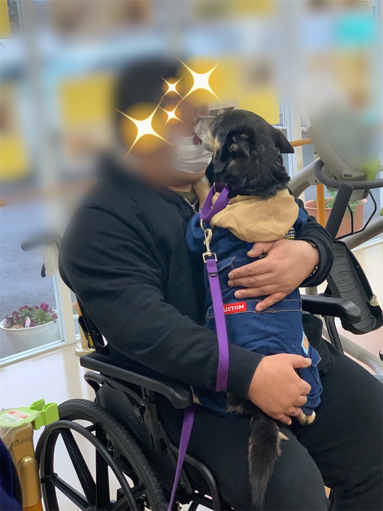 f:id:sakaivet2019:20230210180412j:image