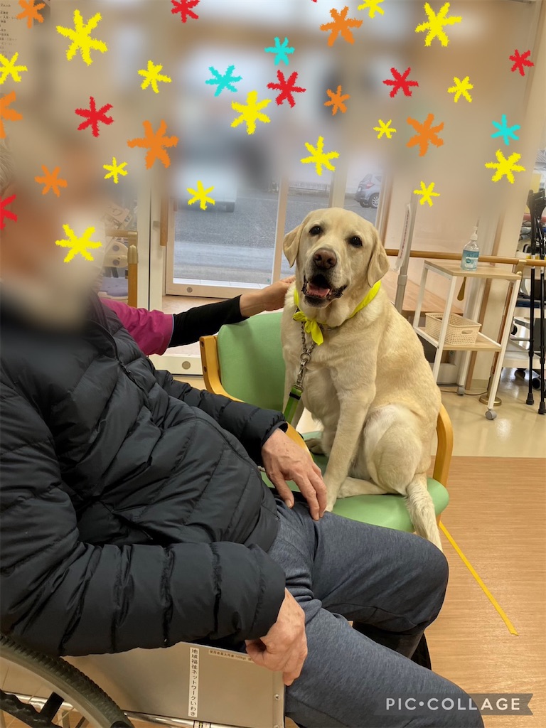 f:id:sakaivet2019:20230210180415j:image
