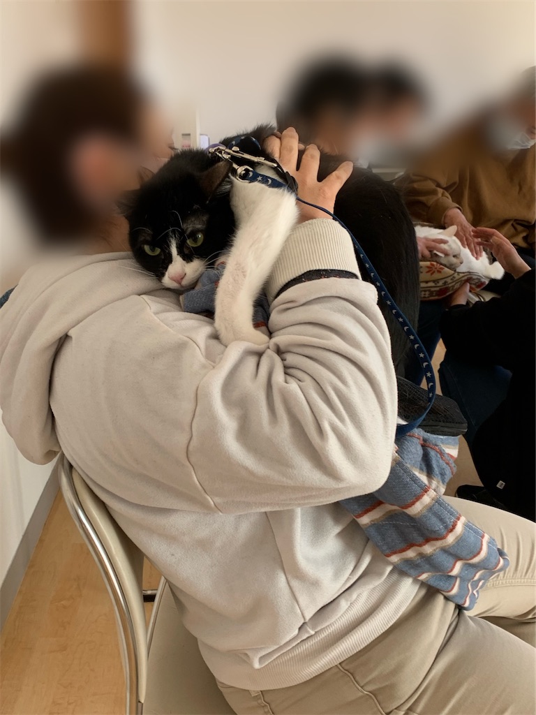 f:id:sakaivet2019:20230217222747j:image