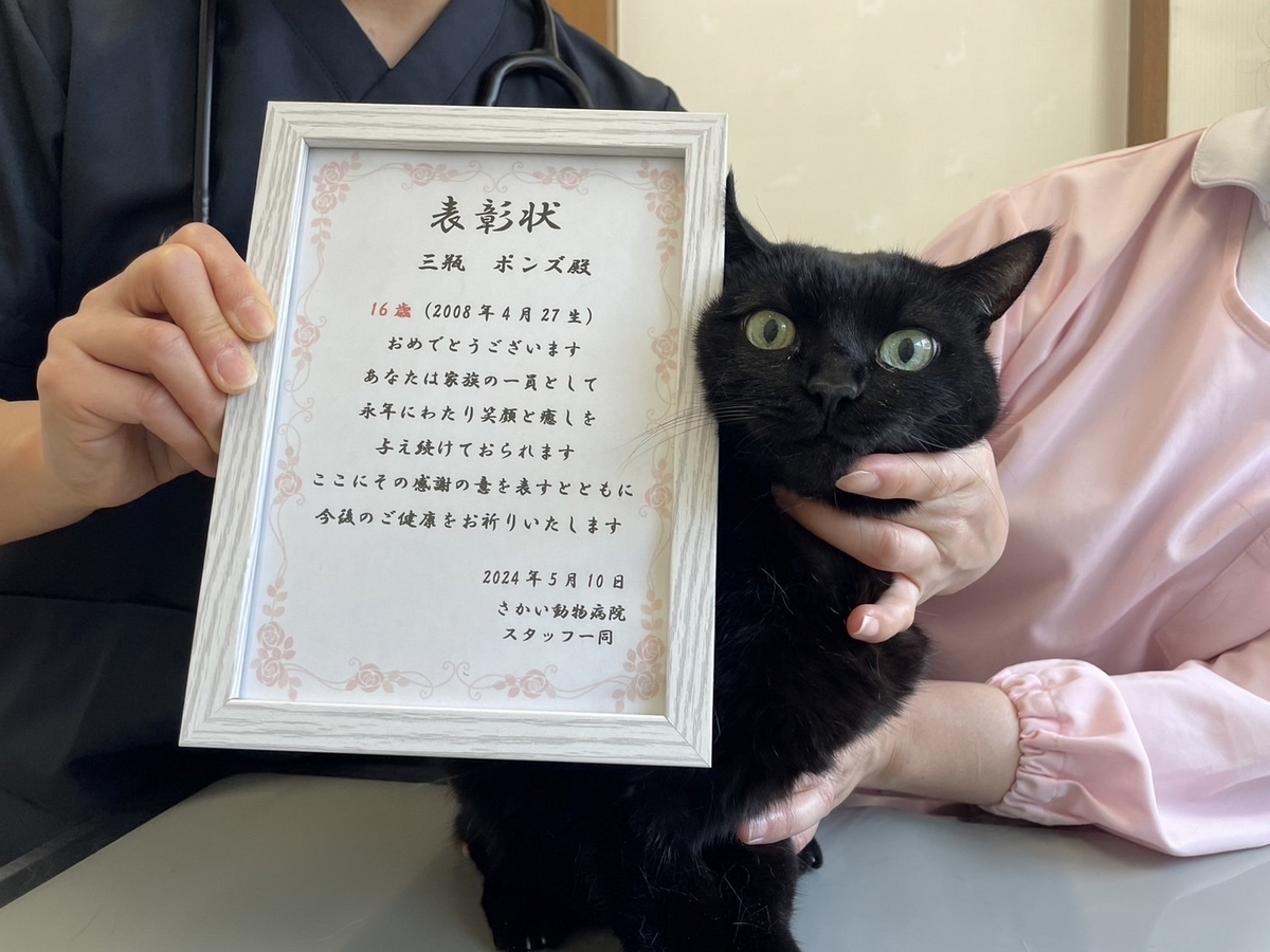 今週のご長寿さん?✨ - さかい動物病院 ご長寿ブログ