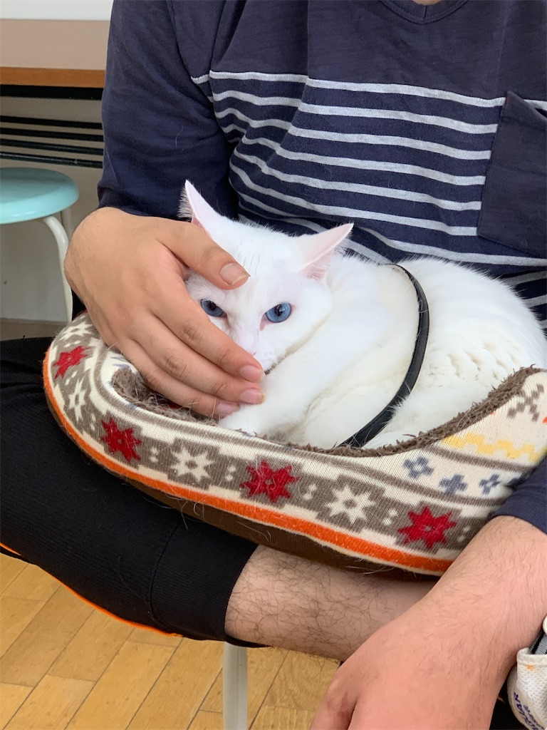 f:id:sakaivet2019:20240916113943j:image f:id:sakaivet2019:20240916113943j:image