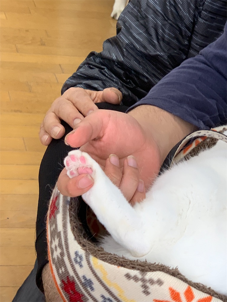 f:id:sakaivet2019:20240916113946j:image f:id:sakaivet2019:20240916113946j:image