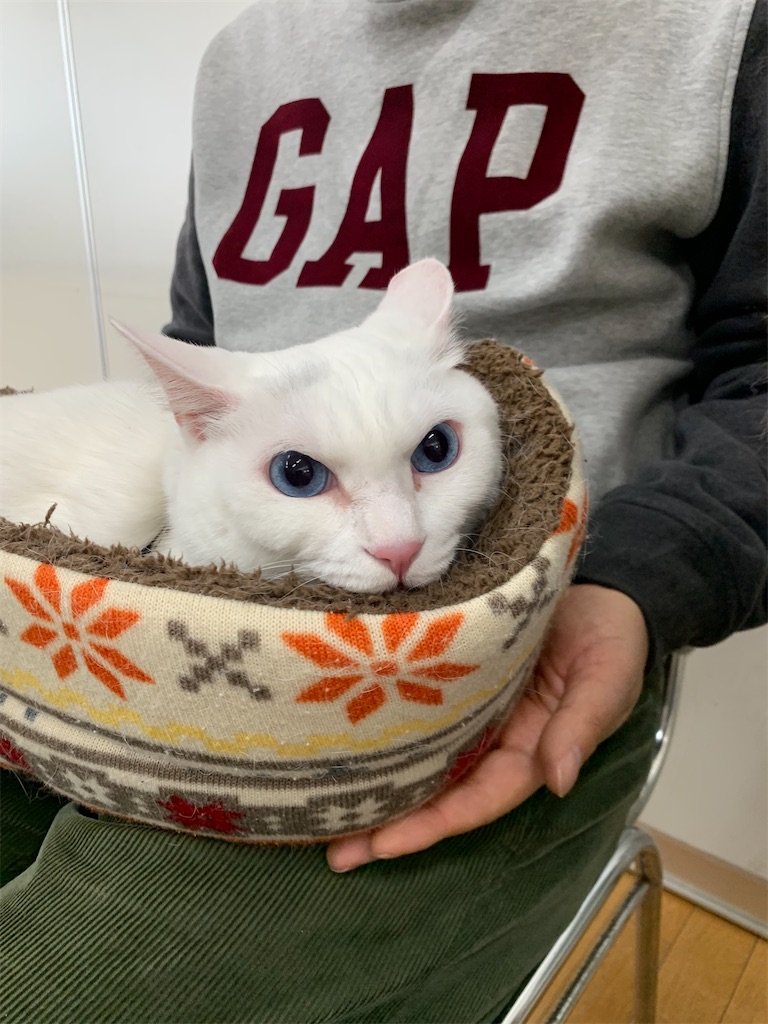 f:id:sakaivet2019:20240916113950j:image f:id:sakaivet2019:20240916113950j:image
