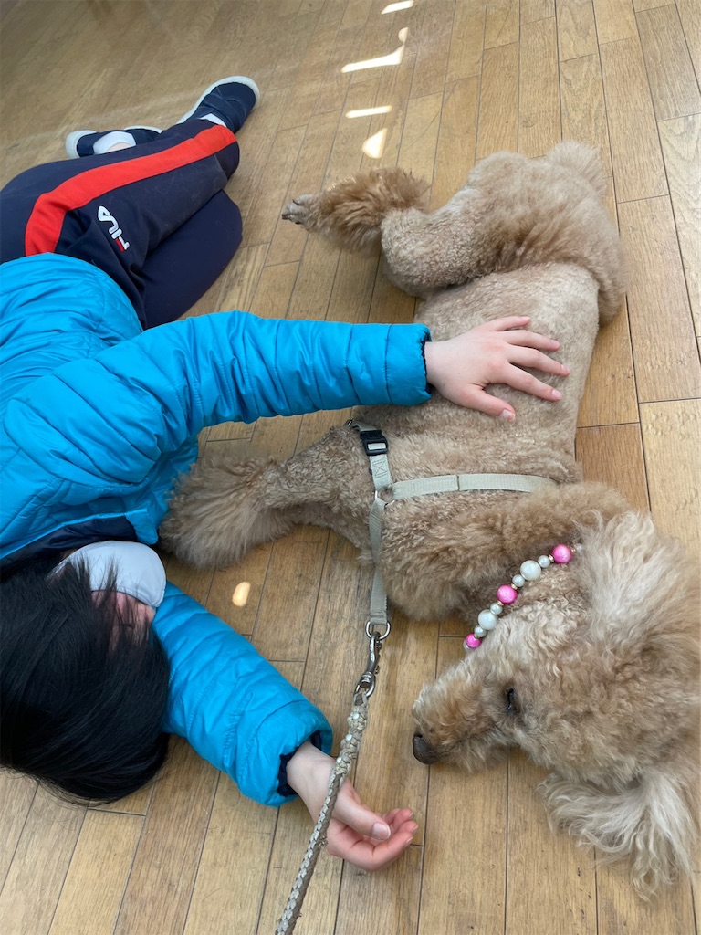 f:id:sakaivet2019:20240916113953j:image f:id:sakaivet2019:20240916113953j:image