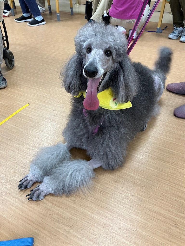 f:id:sakaivet2019:20240916114243j:image f:id:sakaivet2019:20240916114243j:image