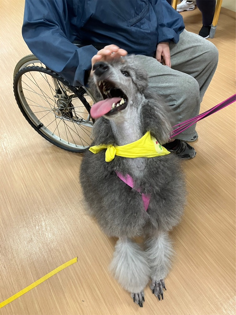 f:id:sakaivet2019:20240916114247j:image f:id:sakaivet2019:20240916114247j:image