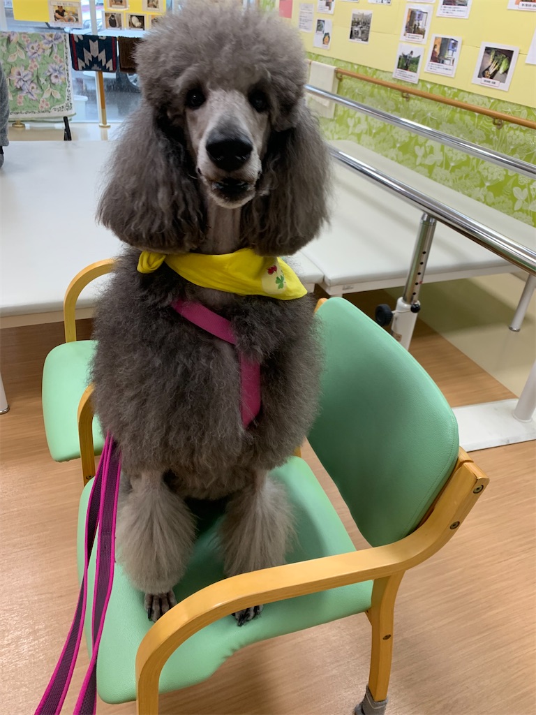 f:id:sakaivet2019:20240916114251j:image f:id:sakaivet2019:20240916114251j:image