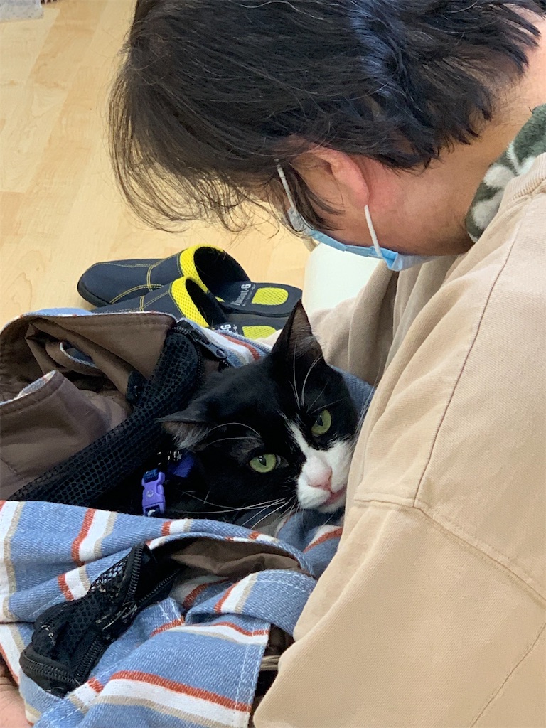 f:id:sakaivet2019:20240916114758j:image f:id:sakaivet2019:20240916114758j:image