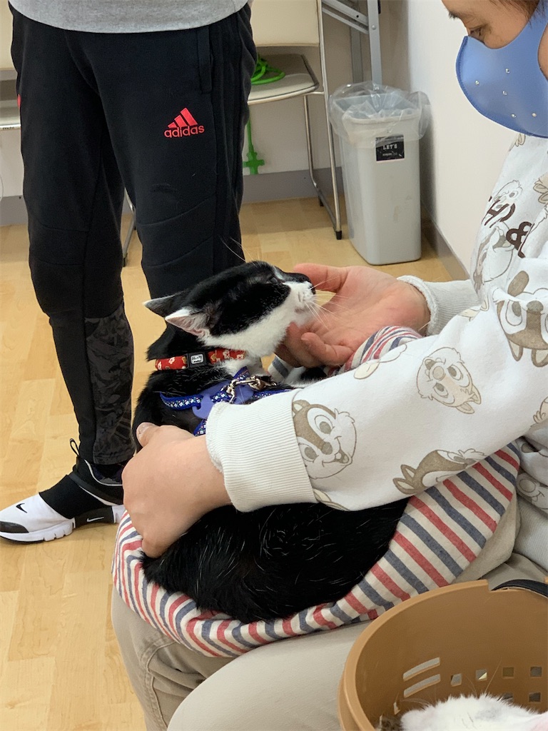 f:id:sakaivet2019:20240916114805j:image f:id:sakaivet2019:20240916114805j:image