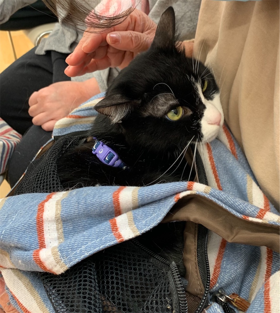 f:id:sakaivet2019:20240916114817j:image f:id:sakaivet2019:20240916114817j:image