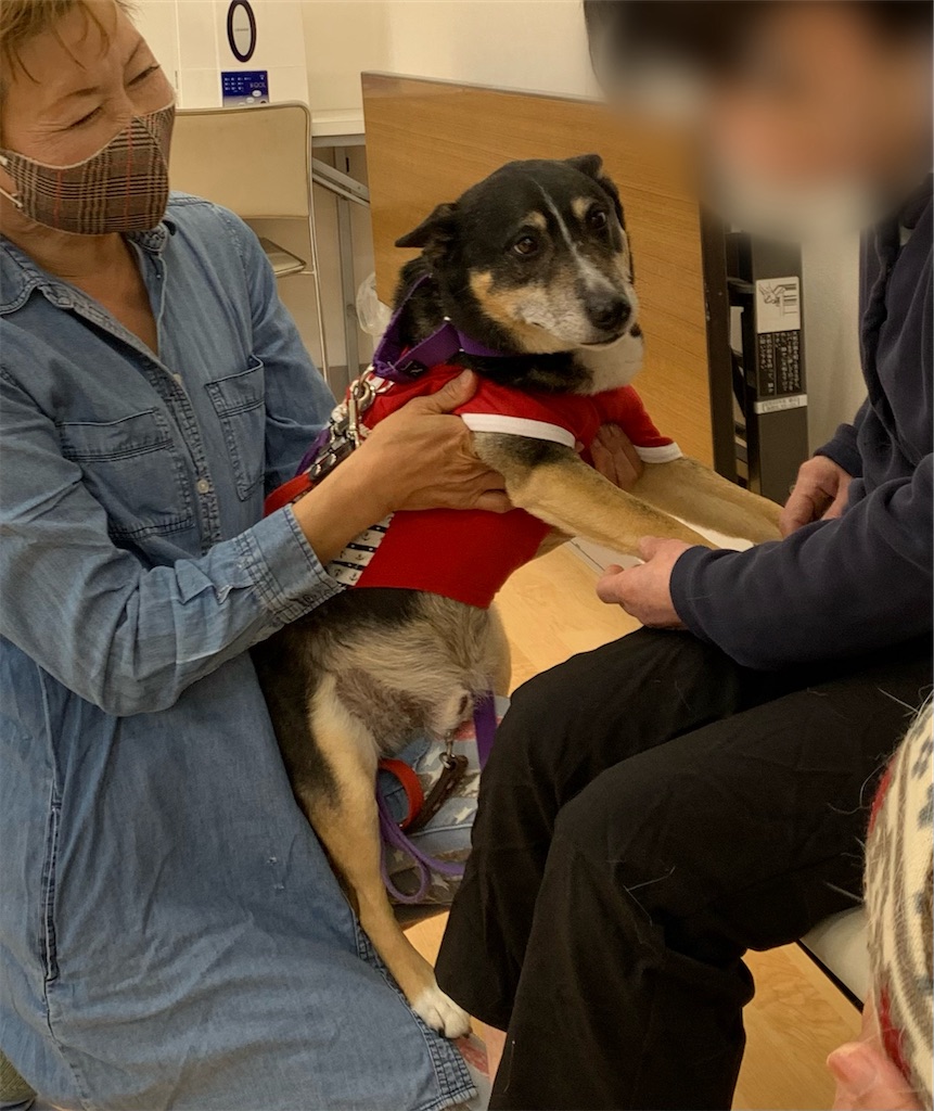 f:id:sakaivet2019:20240916120613j:image