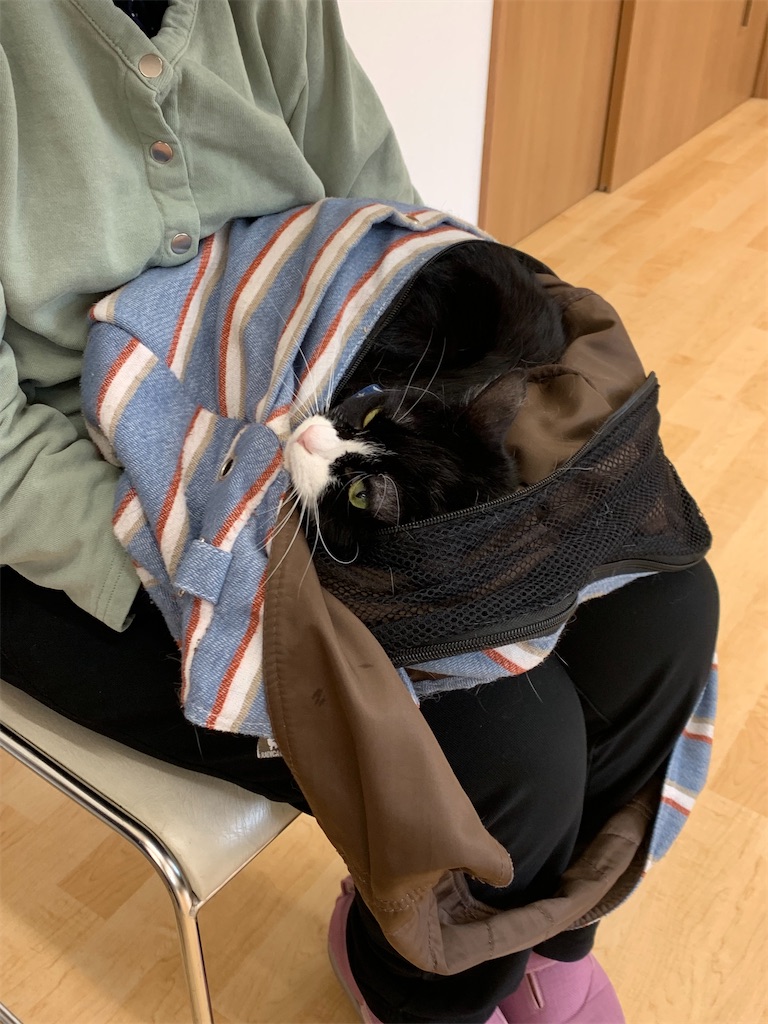 f:id:sakaivet2019:20240916120617j:image