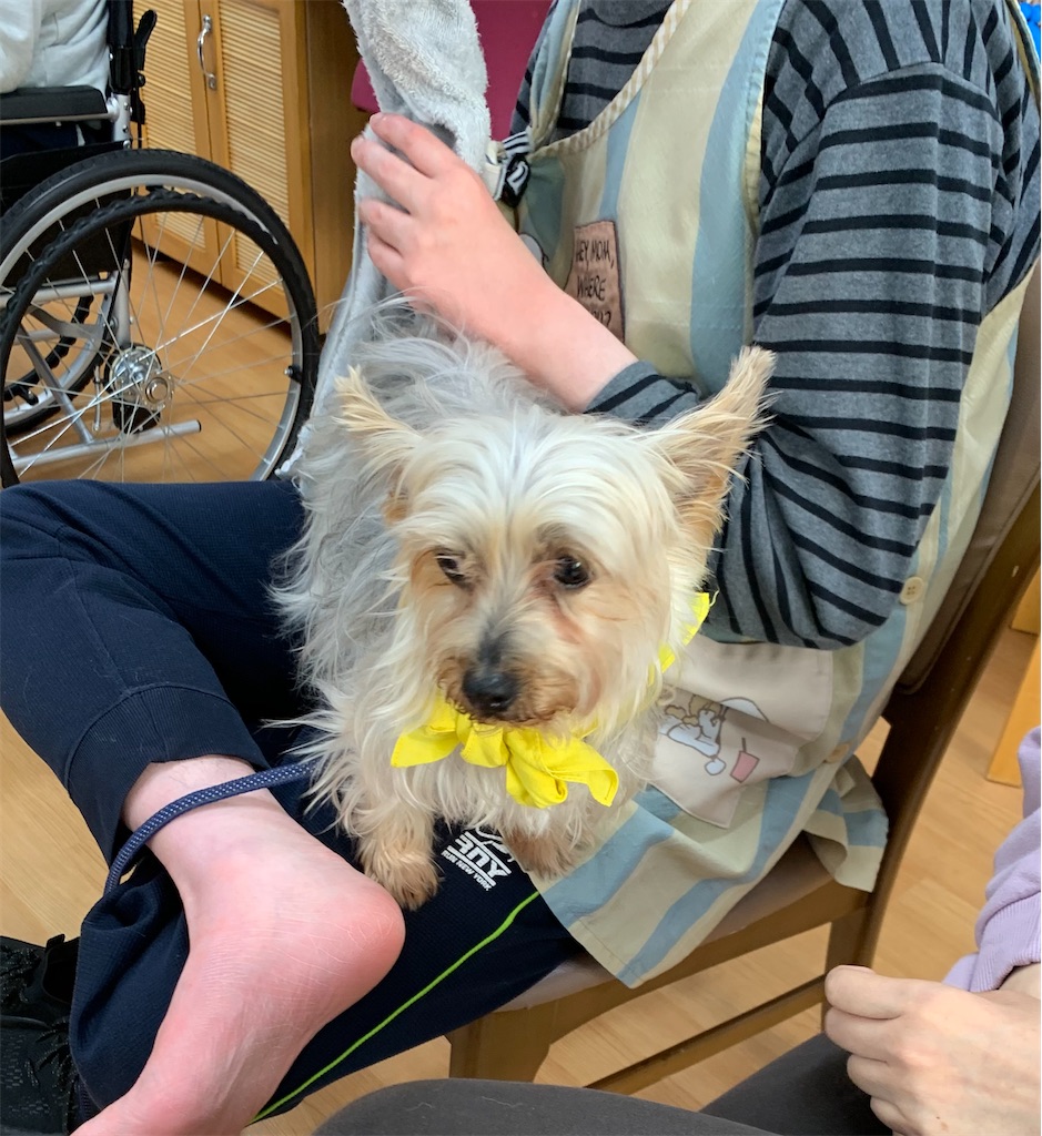 f:id:sakaivet2019:20240916122944j:image
