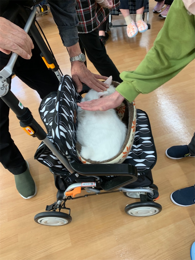 f:id:sakaivet2019:20240916122948j:image