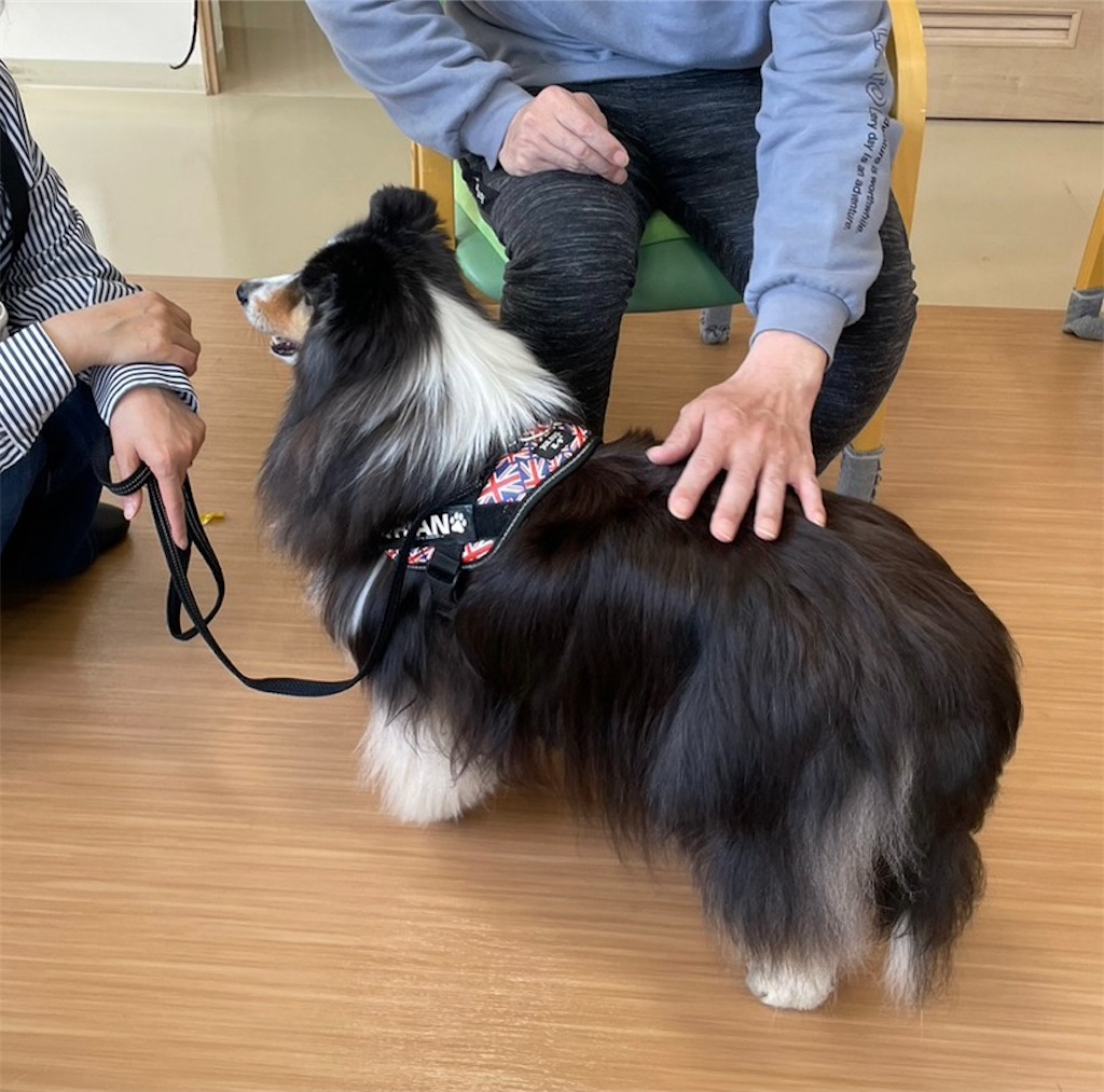 f:id:sakaivet2019:20240916123254j:image