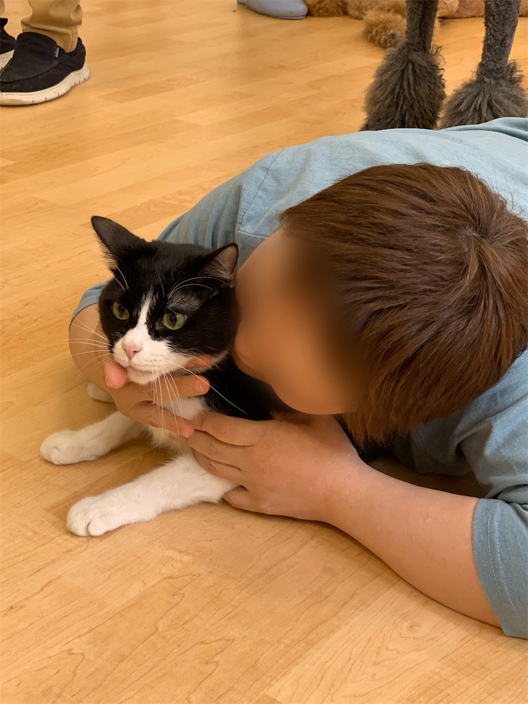 f:id:sakaivet2019:20240916123703j:image