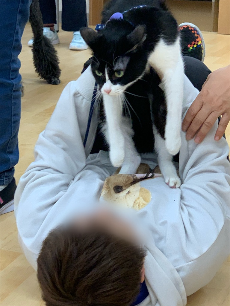 f:id:sakaivet2019:20240916124344j:image f:id:sakaivet2019:20240916124344j:image