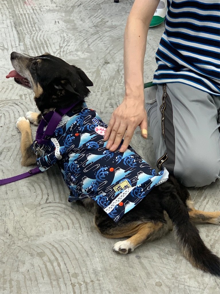 f:id:sakaivet2019:20240916124446j:image f:id:sakaivet2019:20240916124446j:image