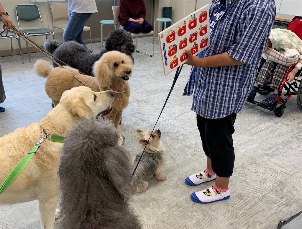 f:id:sakaivet2019:20240916124449j:image f:id:sakaivet2019:20240916124449j:image
