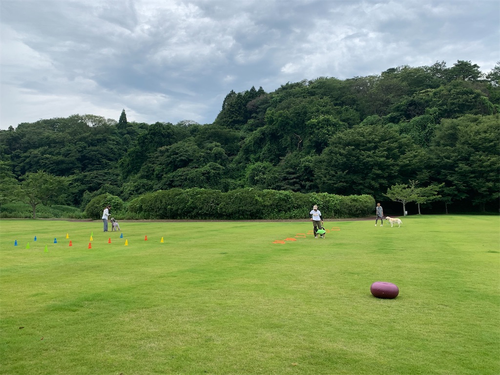 f:id:sakaivet2019:20240916131324j:image f:id:sakaivet2019:20240916131324j:image
