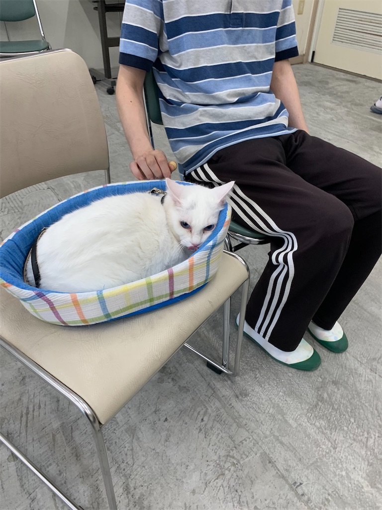 f:id:sakaivet2019:20240916131616j:image f:id:sakaivet2019:20240916131616j:image