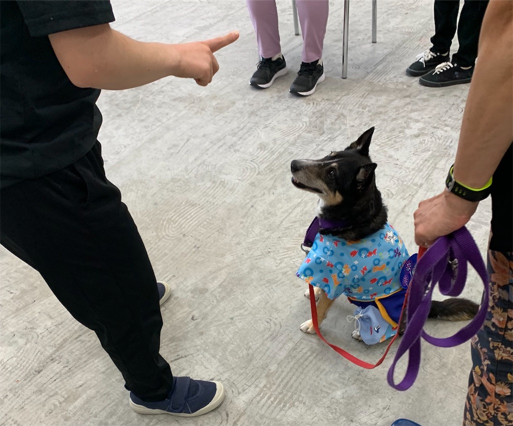 f:id:sakaivet2019:20240916131620j:image