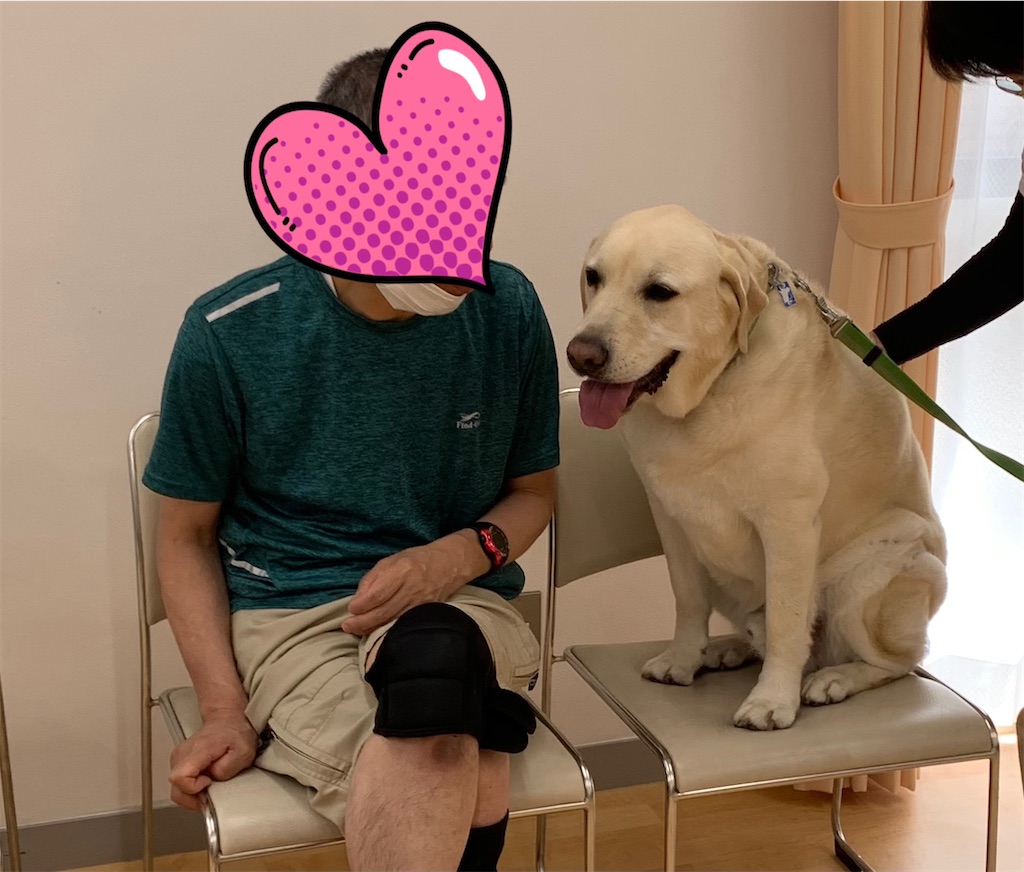 f:id:sakaivet2019:20240916131853j:image