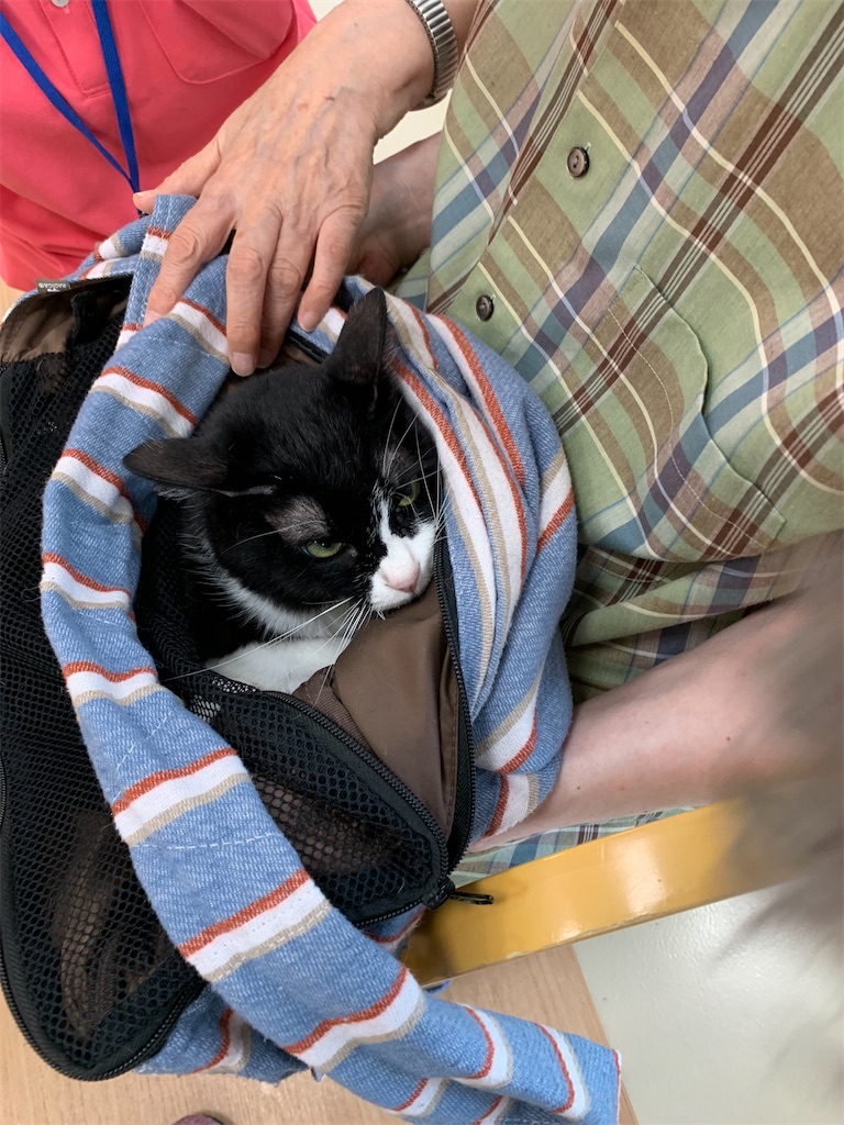 f:id:sakaivet2019:20240916132547j:image f:id:sakaivet2019:20240916132547j:image