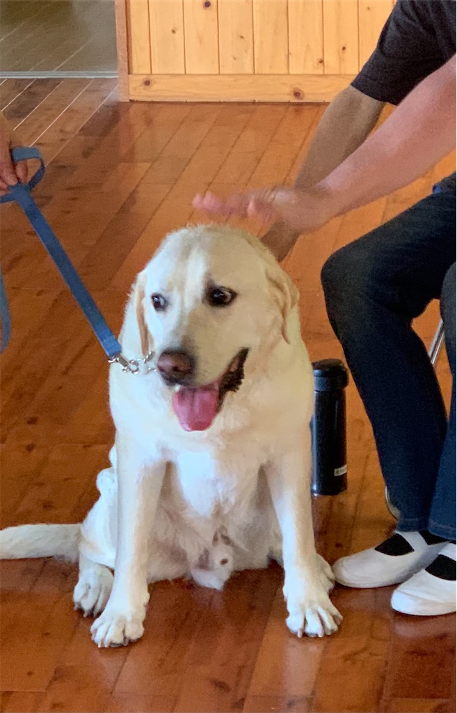 f:id:sakaivet2019:20240916132725j:image f:id:sakaivet2019:20240916132725j:image