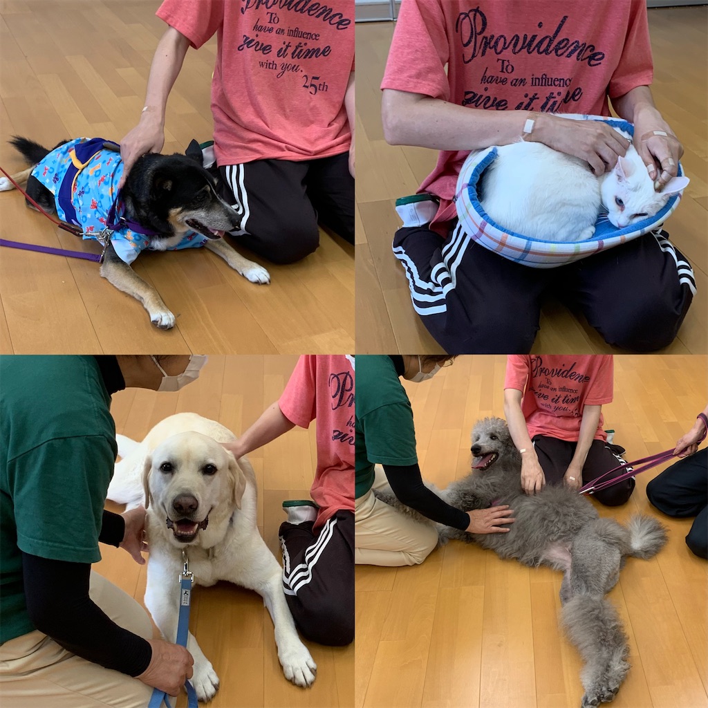 f:id:sakaivet2019:20240916140937j:image f:id:sakaivet2019:20240916140937j:image
