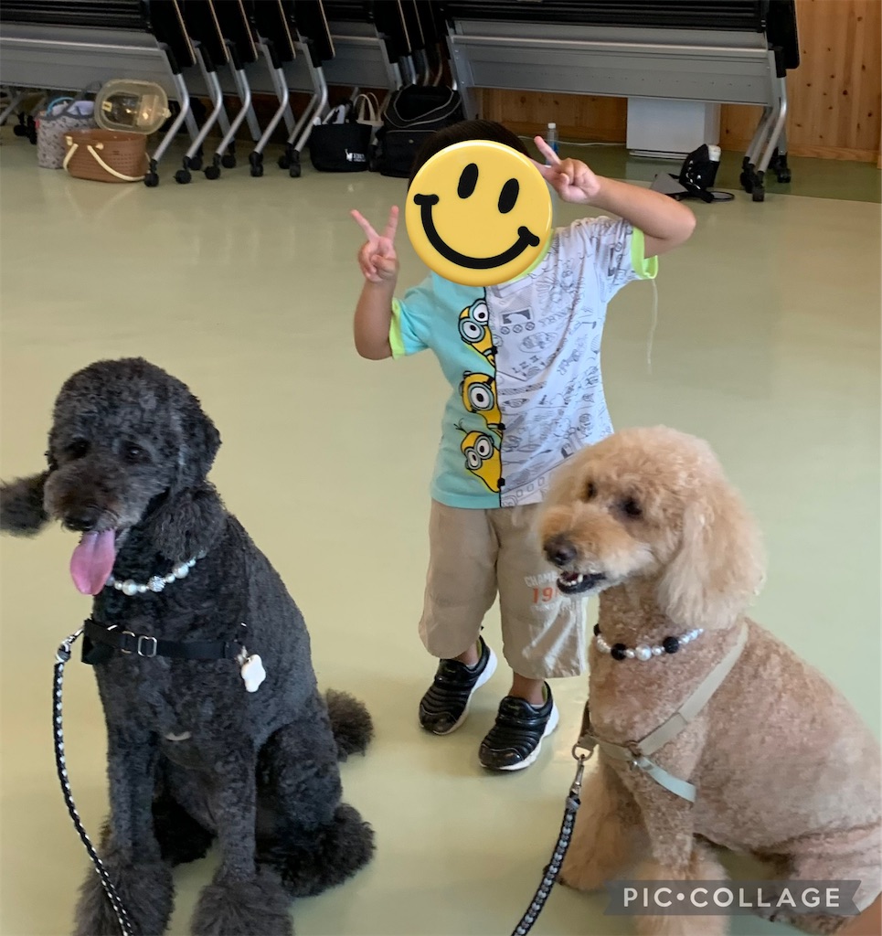f:id:sakaivet2019:20240916141438j:image f:id:sakaivet2019:20240916141438j:image