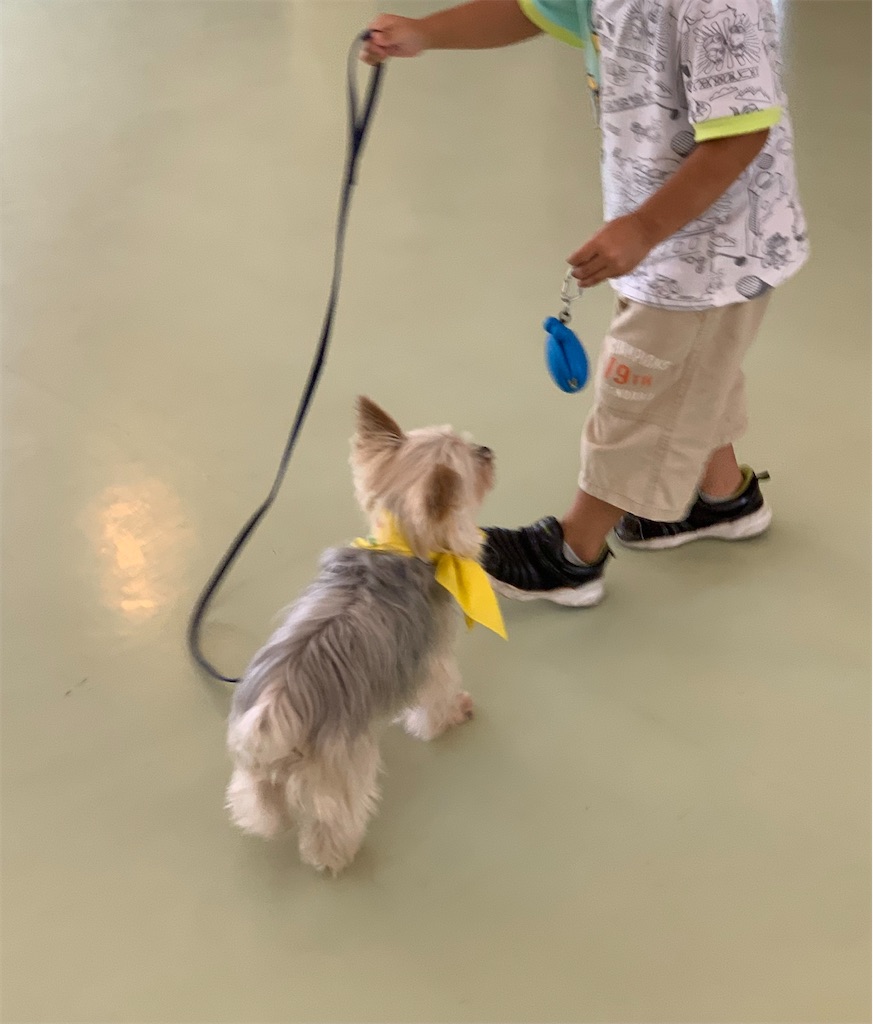 f:id:sakaivet2019:20240916141442j:image f:id:sakaivet2019:20240916141442j:image
