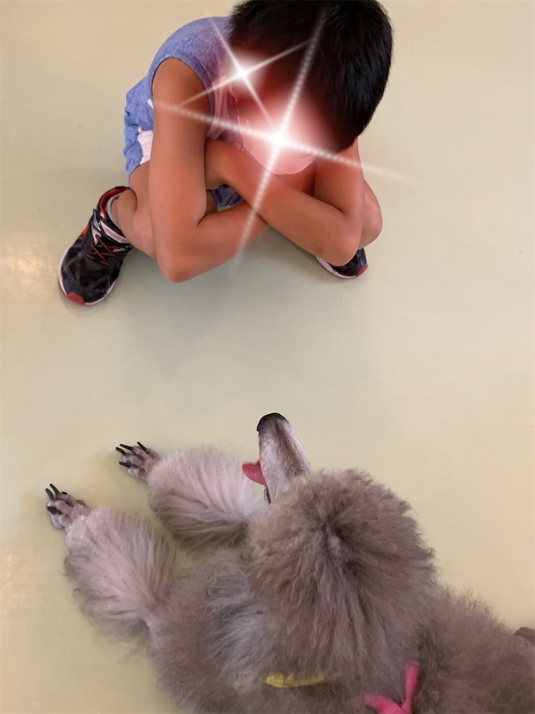 f:id:sakaivet2019:20240916141449j:image