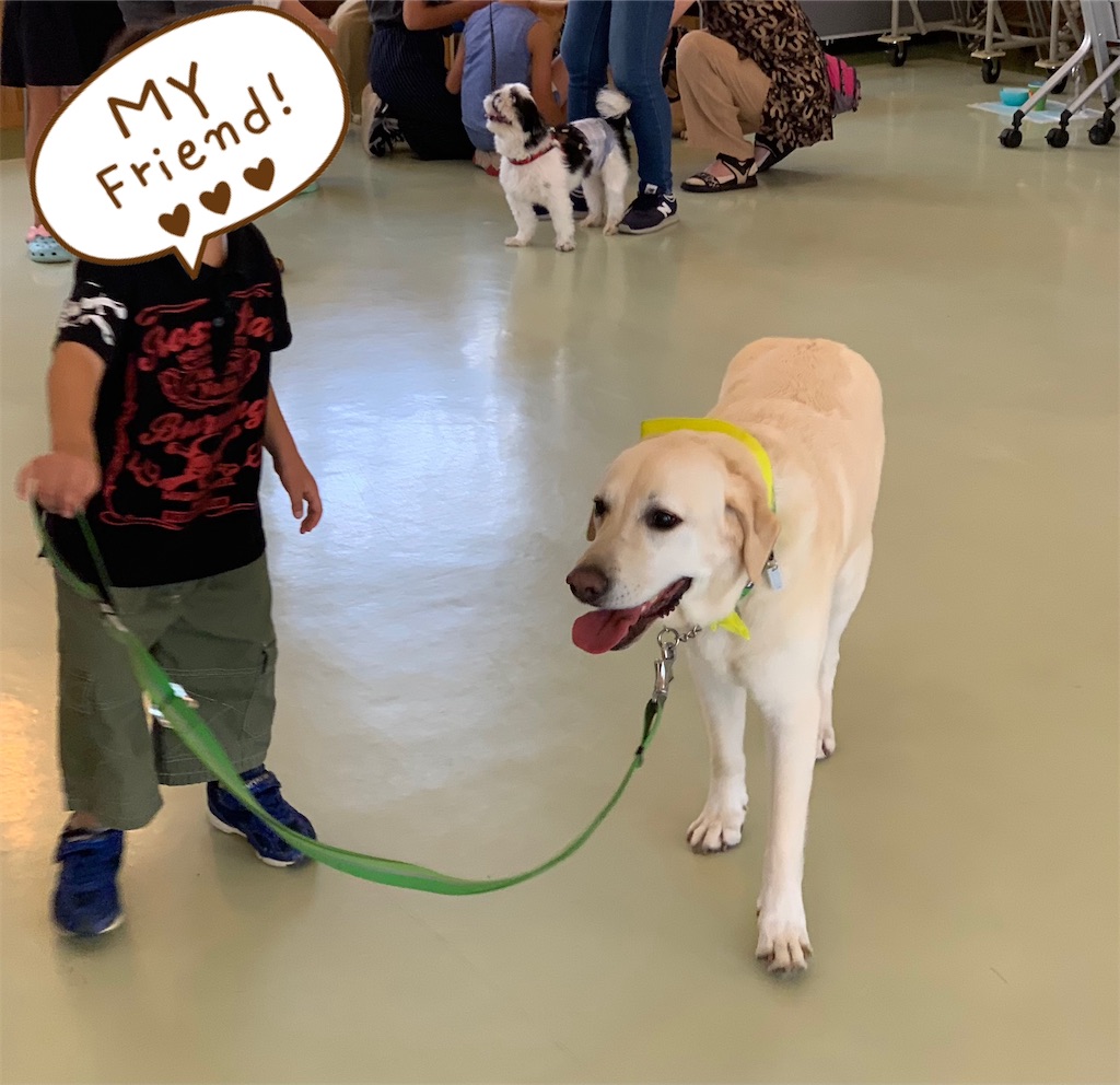 f:id:sakaivet2019:20240916141500j:image f:id:sakaivet2019:20240916141500j:image