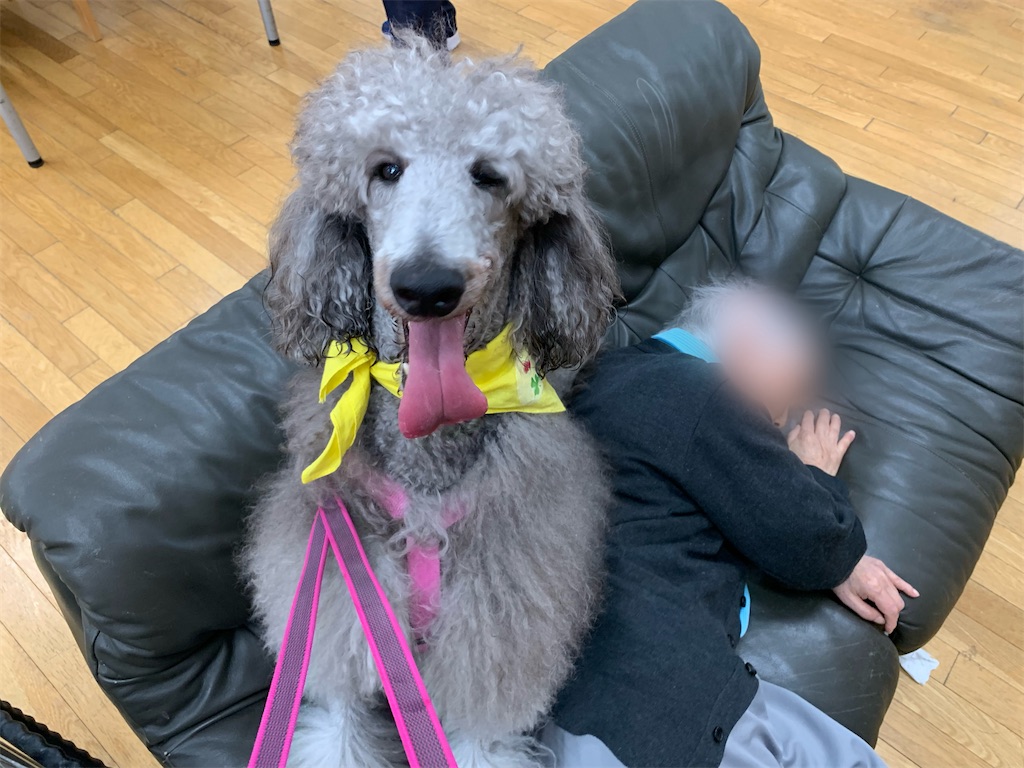 f:id:sakaivet2019:20240916145533j:image