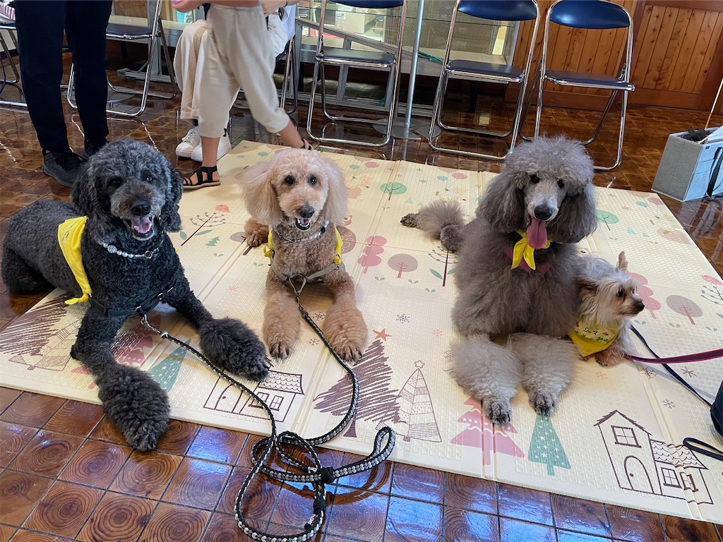 f:id:sakaivet2019:20240916145901j:image